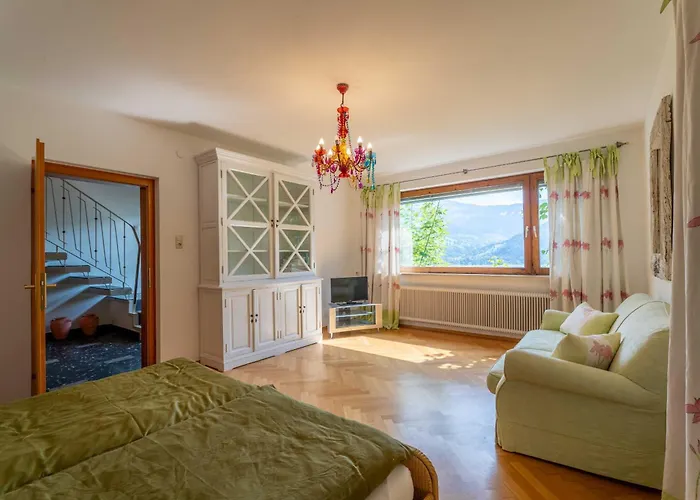 View! Birkmayer By We Rent