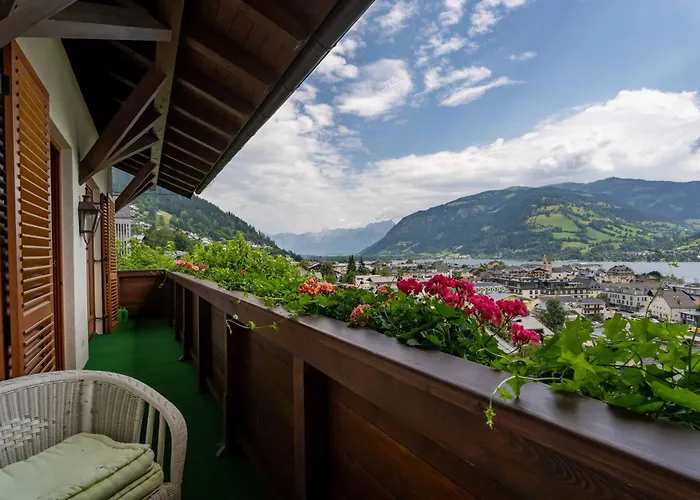 View! Birkmayer By We Rent *