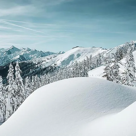 View! Birkmayer By We Rent 滨湖采尔